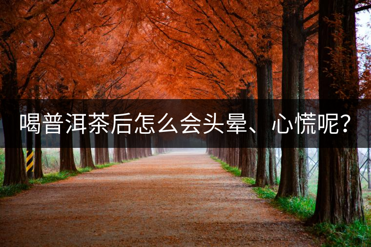 喝普洱茶后怎么會頭暈、心慌呢？
