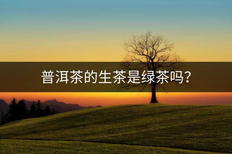 普洱茶的生茶是綠茶嗎？