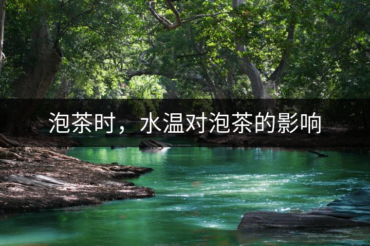 泡茶時(shí)，水溫對泡茶的影響