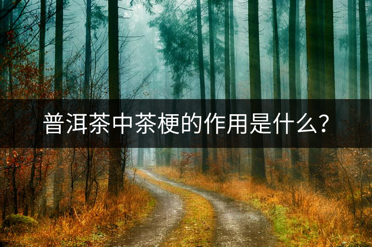 普洱茶中茶梗的作用是什么？