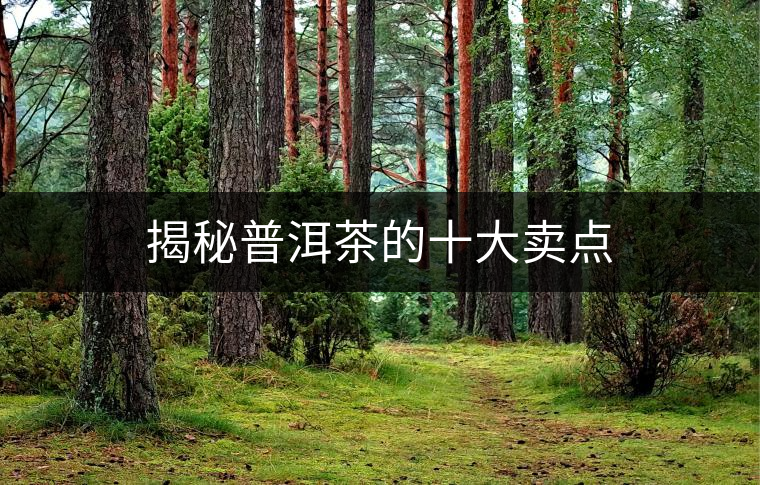 揭秘普洱茶的十大賣點(diǎn)