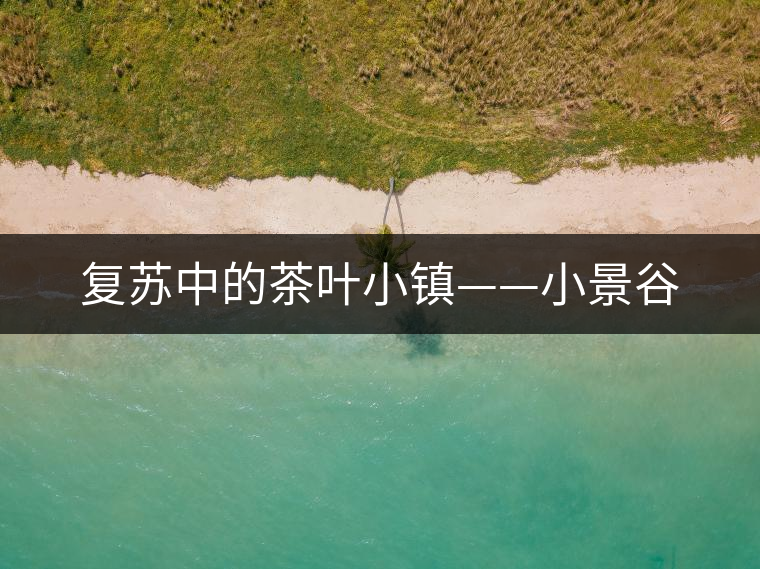 復(fù)蘇中的茶葉小鎮(zhèn)——小景谷