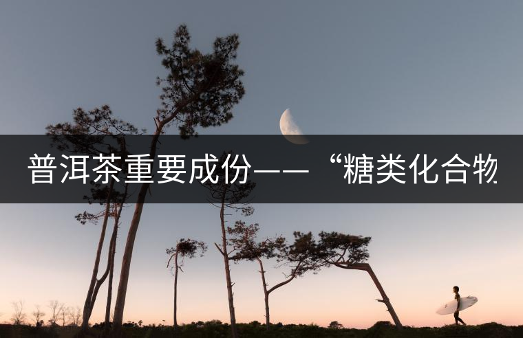 普洱茶重要成份——“糖類化合物” 普洱茶重要成份——“糖類化合物”