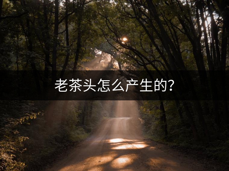 老茶頭怎么產(chǎn)生的？