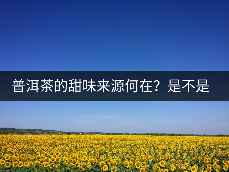 普洱茶的甜味來(lái)源何在？是不是茶湯中含糖？