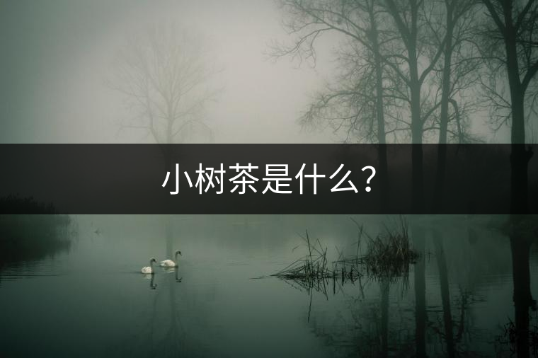 小樹茶是什么？