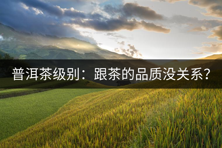 普洱茶級別：跟茶的品質(zhì)沒關(guān)系？