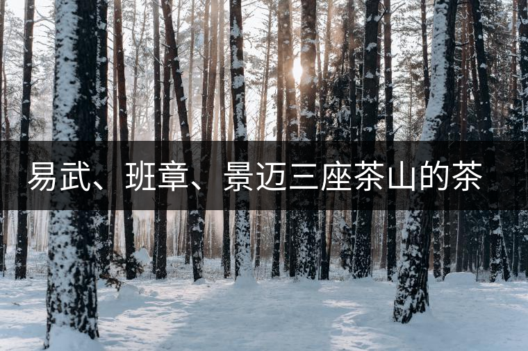 易武、班章、景邁三座茶山的茶比較