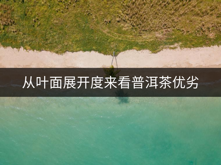 從葉面展開(kāi)度來(lái)看普洱茶優(yōu)劣 從葉面展開(kāi)度來(lái)看普洱茶優(yōu)劣