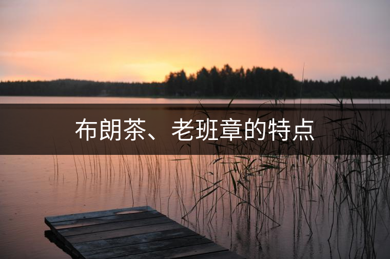 布朗茶、老班章的特點(diǎn)