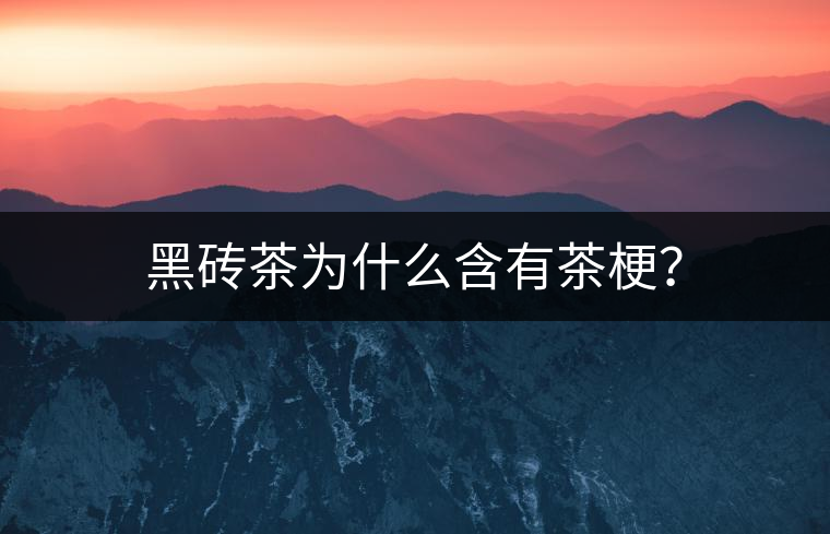 黑磚茶為什么含有茶梗？