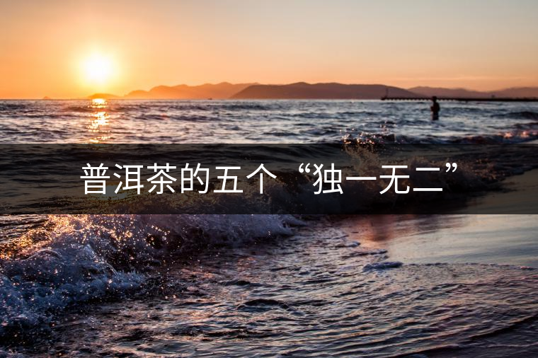 普洱茶的五個“獨一無二” 普洱茶的五個“獨一無二”