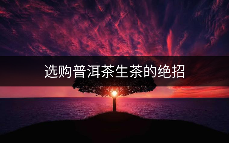 選購(gòu)普洱茶生茶的絕招