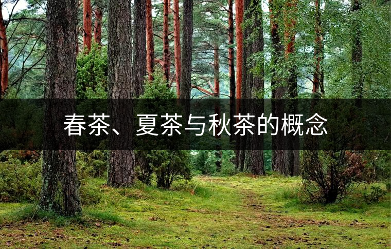 春茶、夏茶與秋茶的概念