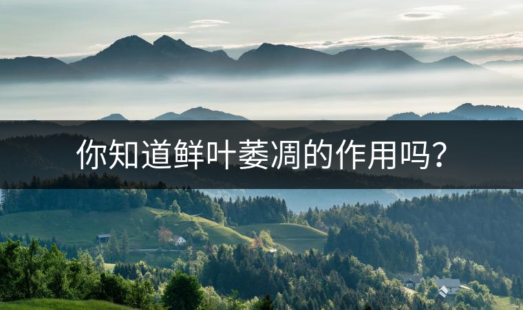 你知道鮮葉萎凋的作用嗎？