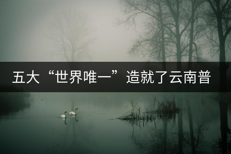 五大“世界唯一”造就了云南普洱茶的獨(dú)一無(wú)二