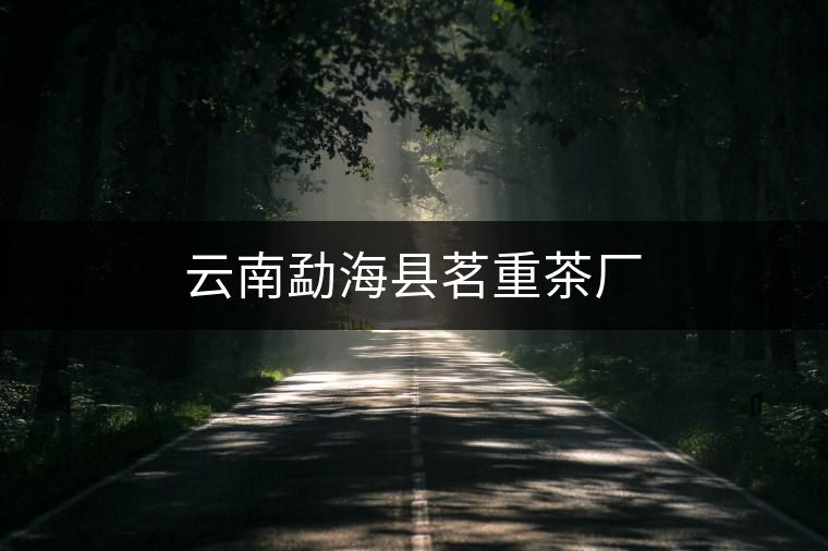 云南勐?？h茗重茶廠