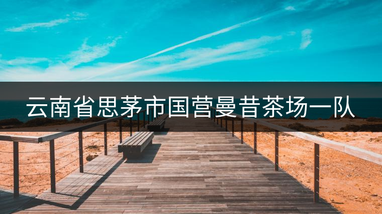 云南省思茅市國營曼昔茶場一隊