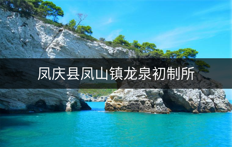 鳳慶縣鳳山鎮(zhèn)龍泉初制所