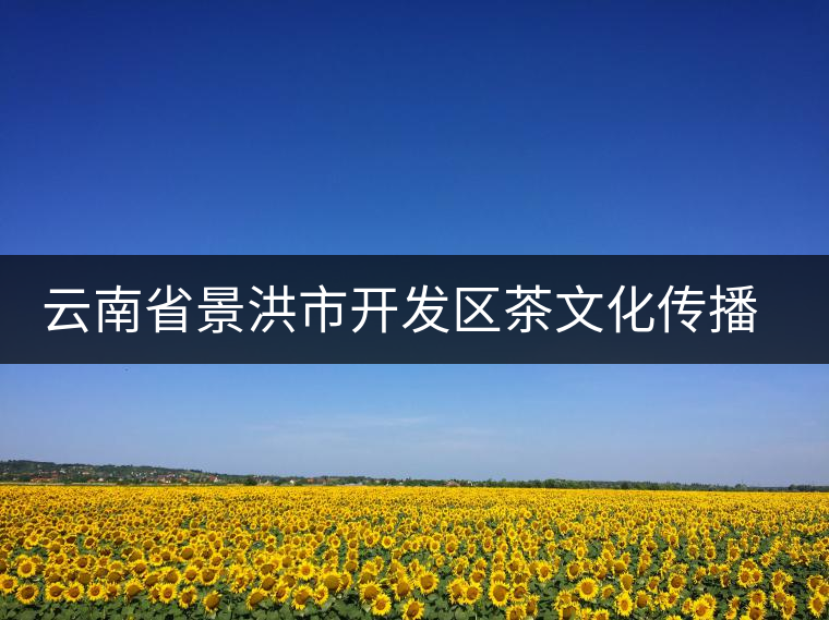 云南省景洪市開(kāi)發(fā)區(qū)茶文化傳播中心 云南省景洪市開(kāi)發(fā)區(qū)茶文化傳播中心