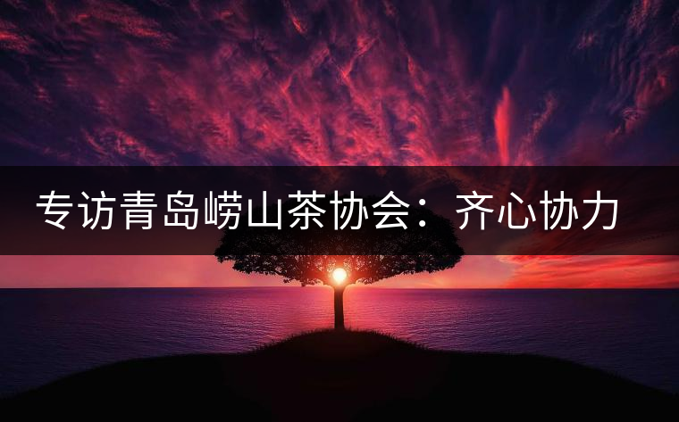 專訪青島嶗山茶協(xié)會(huì)：齊心協(xié)力共謀茶壇盛事