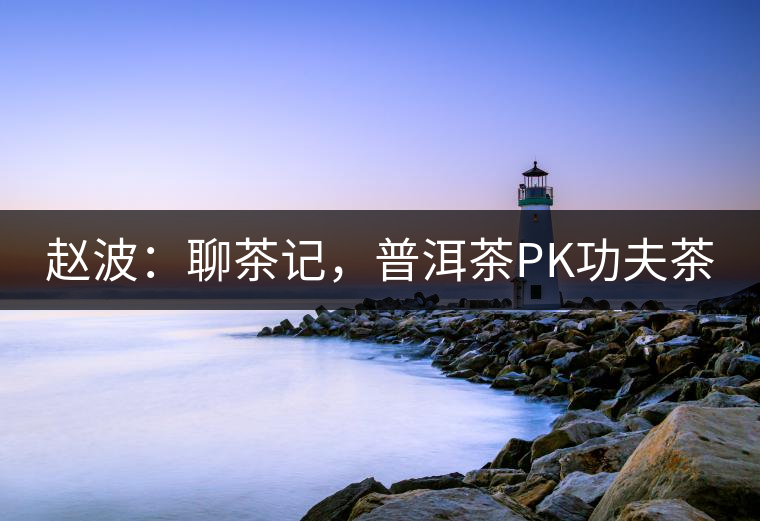 趙波：聊茶記，普洱茶PK功夫茶