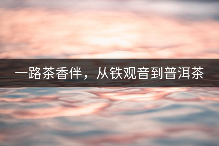 一路茶香伴，從鐵觀音到普洱茶