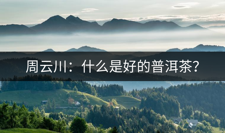 周云川：什么是好的普洱茶？