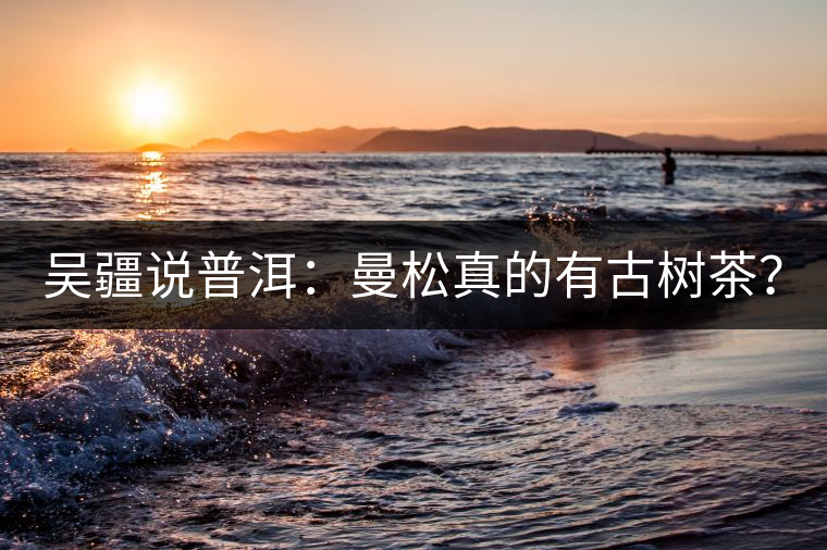 吳疆說普洱：曼松真的有古樹茶？