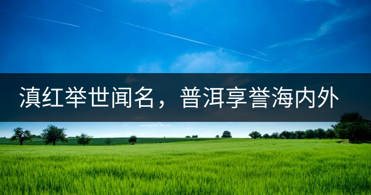 滇紅舉世聞名，普洱享譽海內(nèi)外丨專家座談——虞富蓮