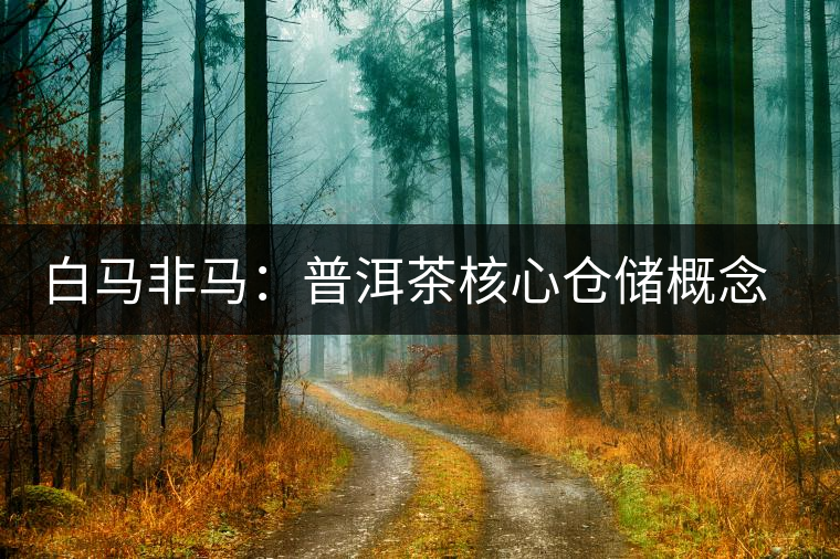 白馬非馬：普洱茶核心倉儲(chǔ)概念辨識與斷代