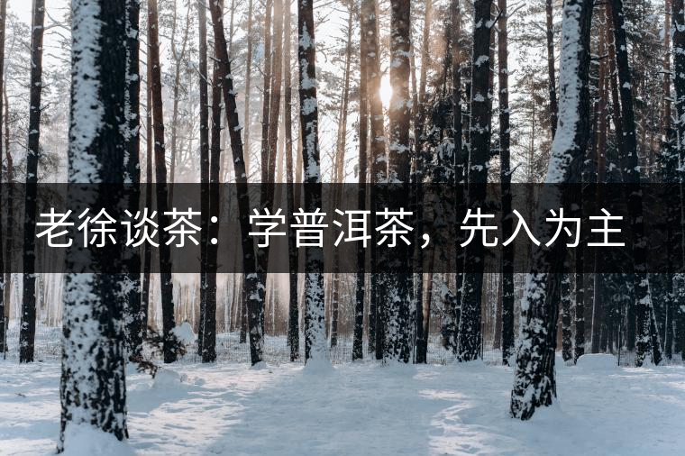 老徐談茶：學(xué)普洱茶，先入為主易被打臉，還得實(shí)踐出真知！