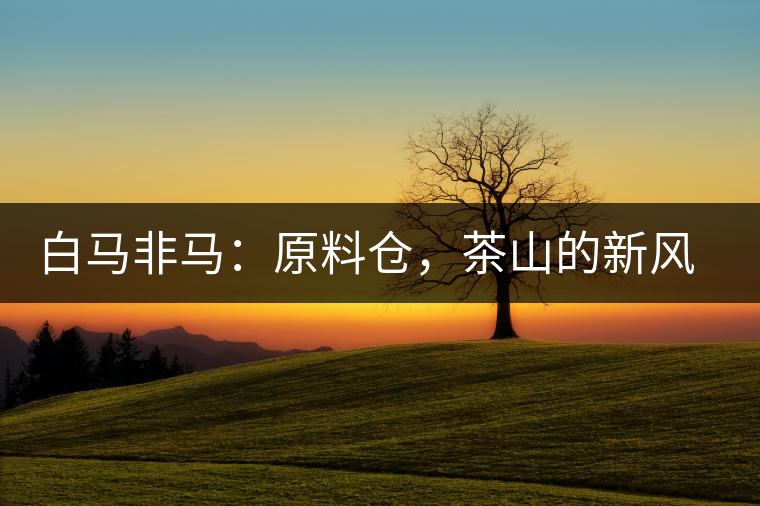 白馬非馬：原料倉，茶山的新風(fēng)景