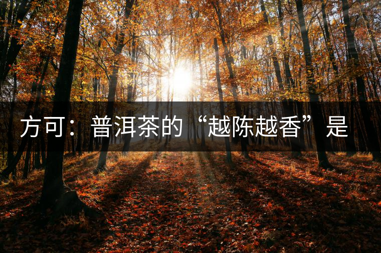 方可：普洱茶的“越陳越香”是有條件、有技術(shù)的