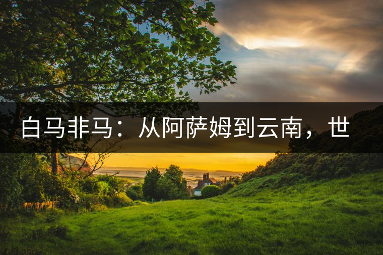 白馬非馬：從阿薩姆到云南，世界茶樹起源爭(zhēng)論的誤區(qū)