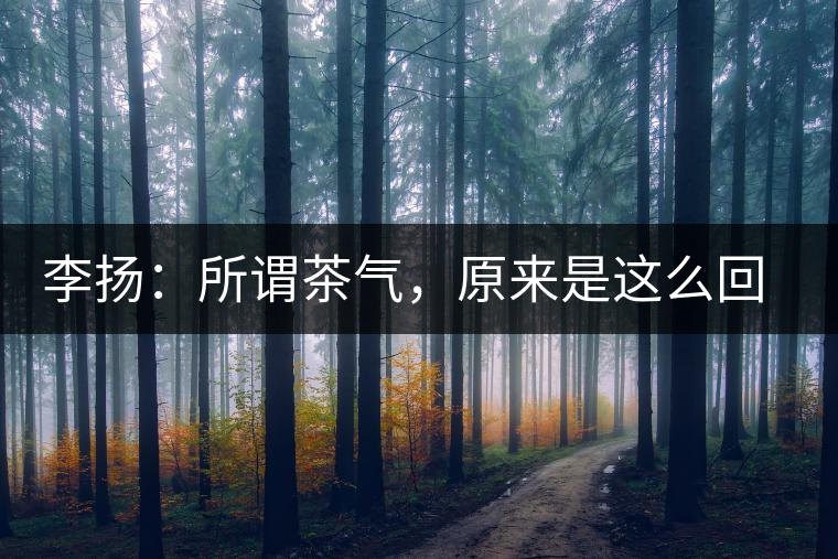 李揚(yáng)：所謂茶氣，原來是這么回事