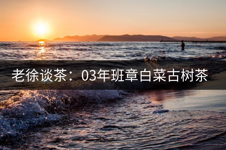 老徐談茶：03年班章白菜古樹茶品鑒報告