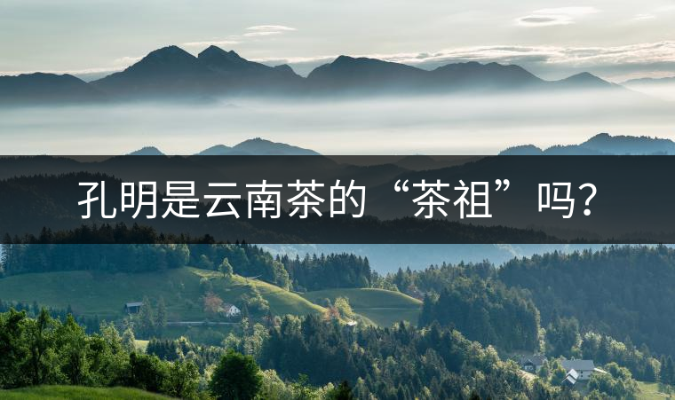 孔明是云南茶的“茶祖”嗎？