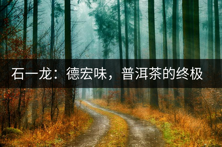 石一龍：德宏味，普洱茶的終極意境