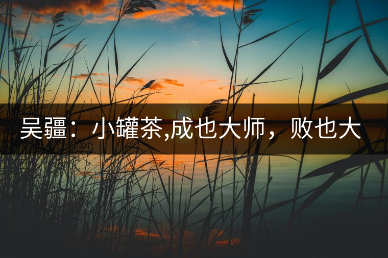 吳疆：小罐茶,成也大師，敗也大師