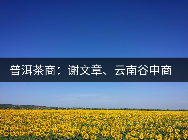 普洱茶商：謝文章、云南谷申商貿(mào)有限公司總經(jīng)理