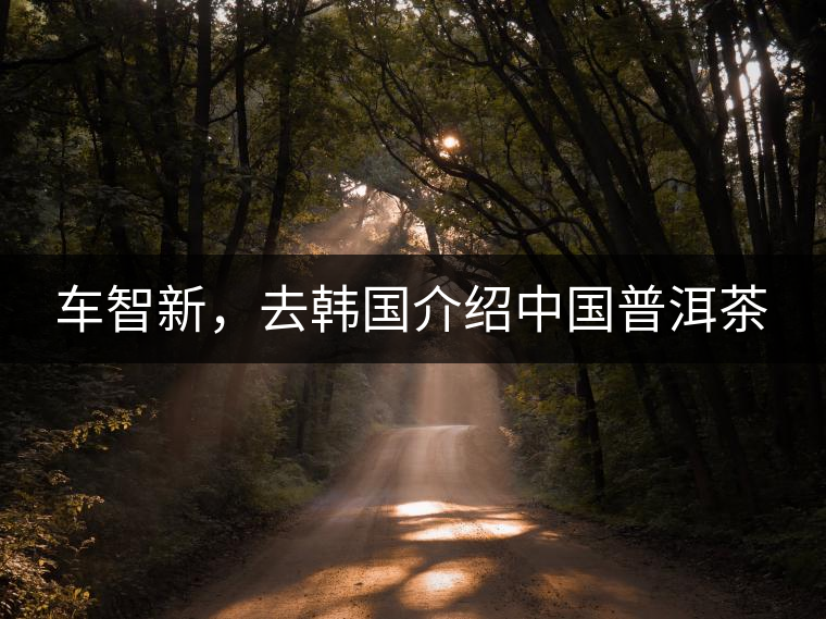 車智新，去韓國介紹中國普洱茶