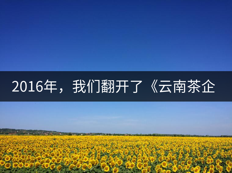 2016年，我們翻開了《云南茶企發(fā)展白皮書》
