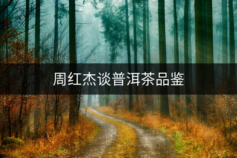 周紅杰談普洱茶品鑒 周紅杰談普洱茶品鑒
