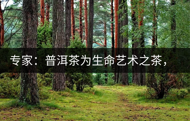 專家：普洱茶為生命藝術(shù)之茶，現(xiàn)低價(jià)時(shí)期可投資收茶