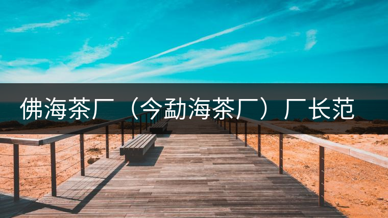 佛海茶廠（今勐海茶廠）廠長(zhǎng)范和鈞和清華大學(xué)技師張石城在緬甸的日子