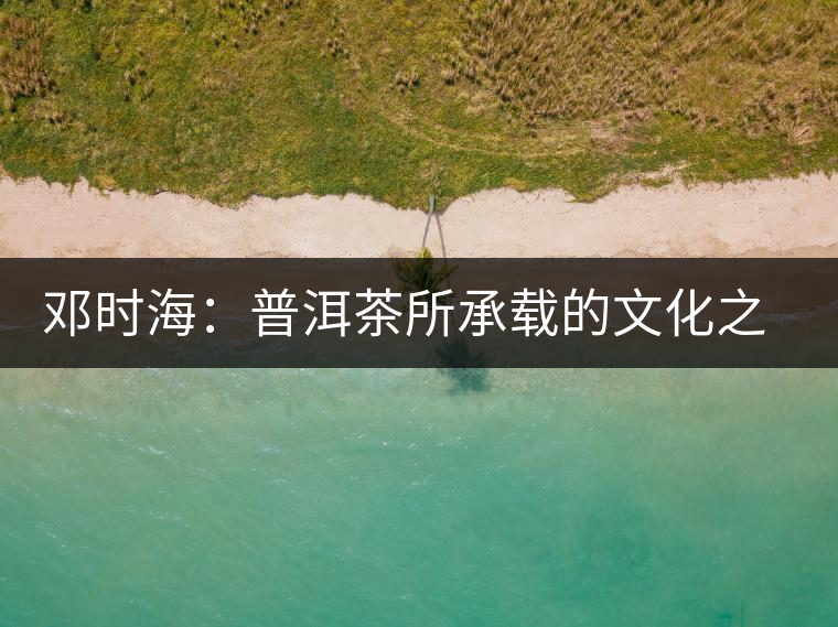 鄧時海：普洱茶所承載的文化之美（”普洱茶第一人“視頻訪談錄）