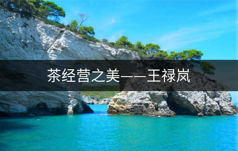 茶經(jīng)營之美——王祿嵐 茶經(jīng)營之美——王祿嵐