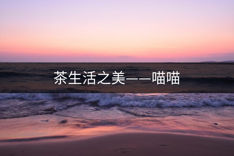 茶生活之美——喵喵 茶生活之美——喵喵