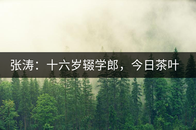 張濤：十六歲輟學郎，今日茶葉中堅